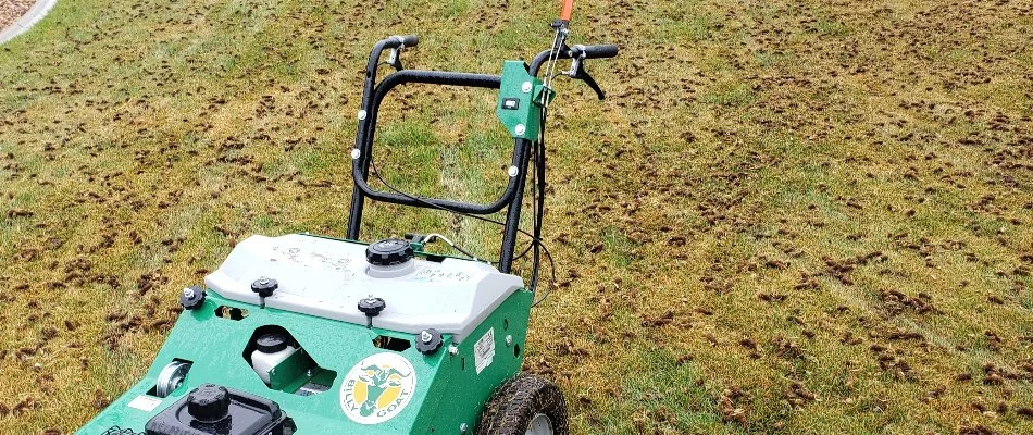 Newly aerated lawn in Longmont, CO, with an aerator machine.