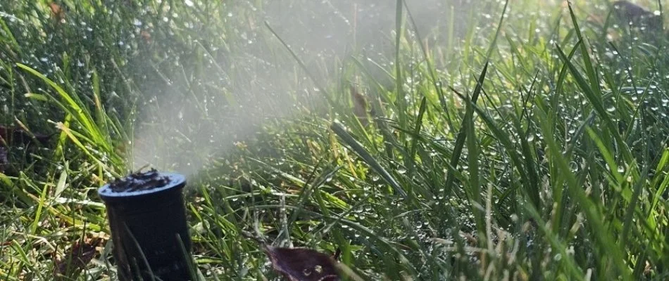 Blowing water out of an irrigation sprinkler head in Longmont, CO.