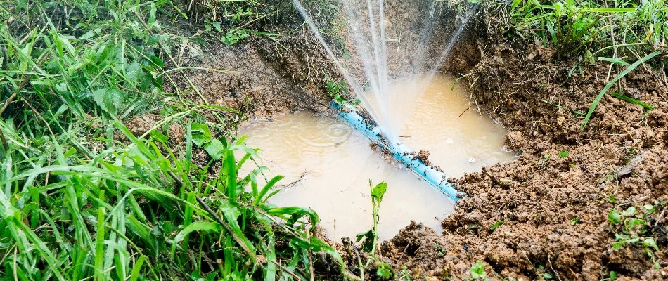 Damaged water line of an irrigation system in Longmont, CO.