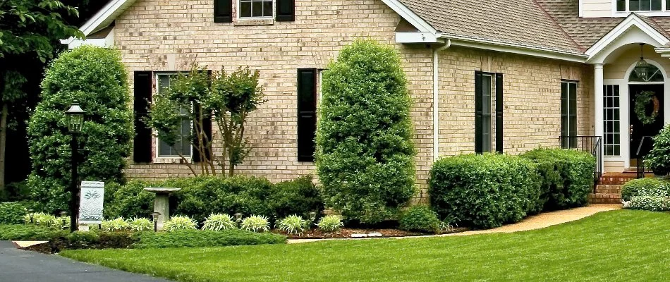 Healthy green shrubs in a yard in Boulder, CO.