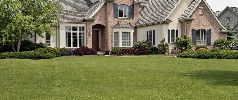 House in Longmont, CO, with landscape plants and healthy grass.