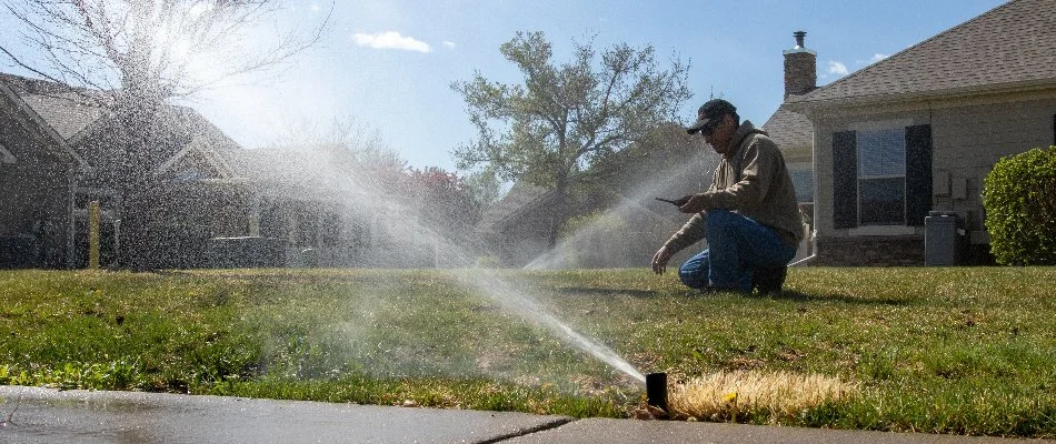 Professional checking irrigation sprinkler heads in Niwot, CO.