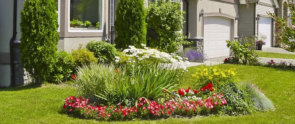 Landscape beds in Longmont, CO, with flowers and shrubs.