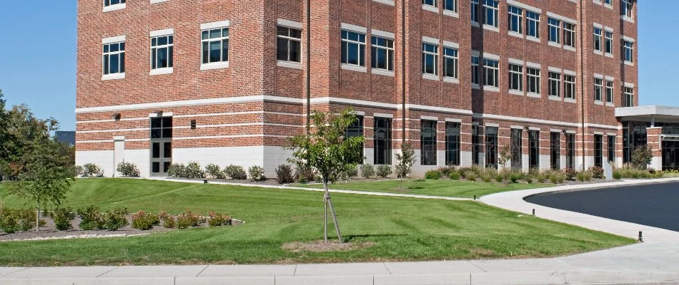 Commercial grounds in Longmont, CO, with a neat lawn and plants.