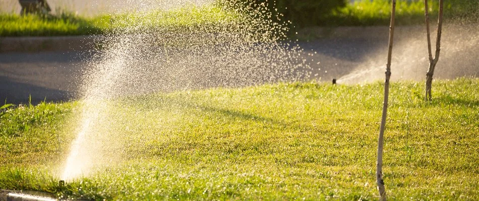 Sprinkler heads on the edge of a lawn in Longmont, CO.