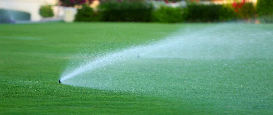 Sprinkler heads watering a wide lawn in Longmont, CO.