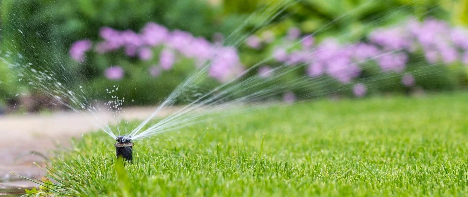 Sprinkler irrigation on a lawn in Longmont, CO.