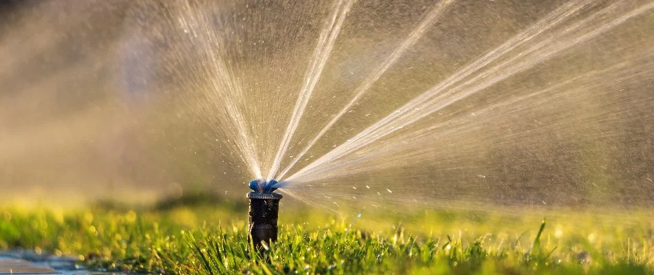 Water coming out of a sprinkler head in Frederick, CO.
