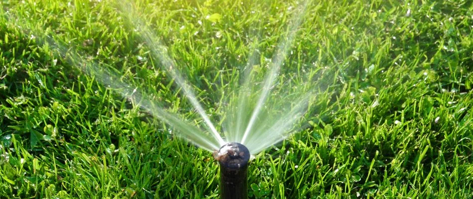 Water coming out of an irrigation sprinkler head in Longmont, CO.