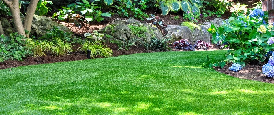 Yard in Longmont, CO, with clean lawn and landscape beds.