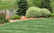 About Total Turf Lawn Care
