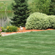 About Total Turf Lawn Care