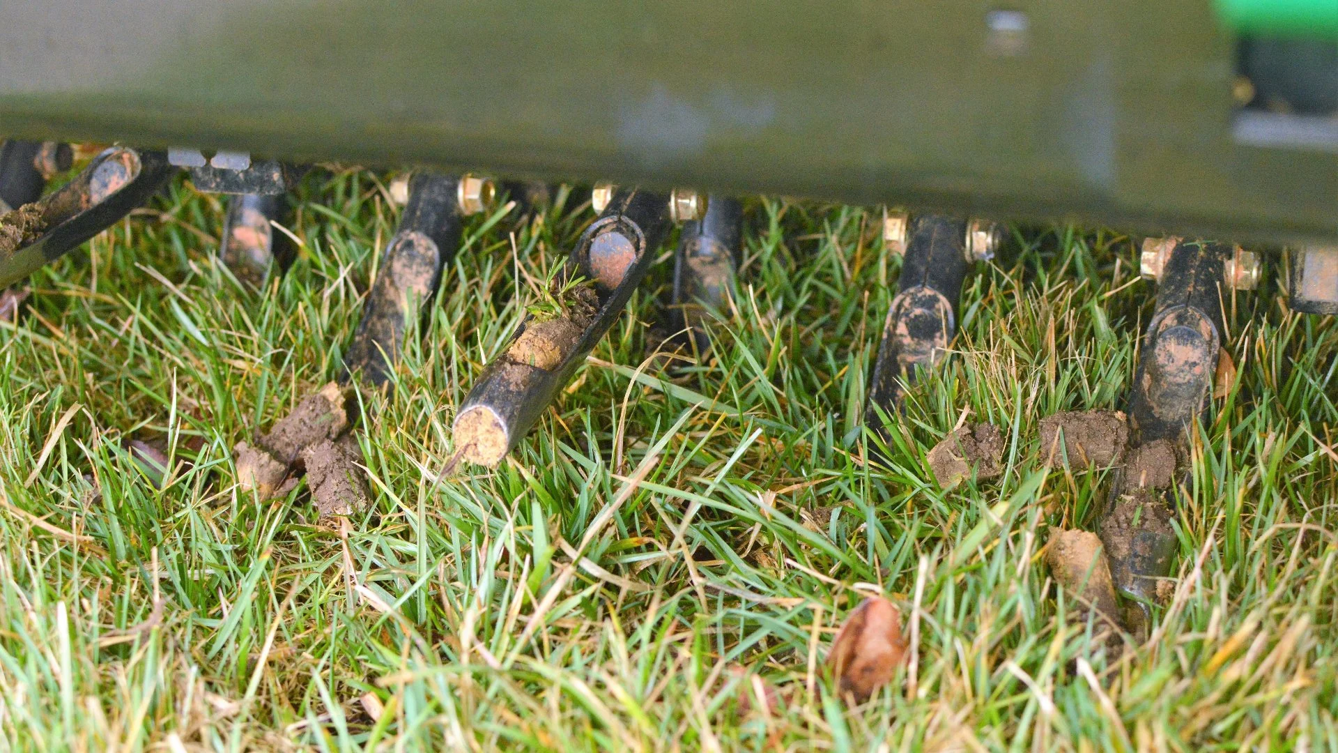 How Many Times a Year Does Your Lawn Need Core Aeration?