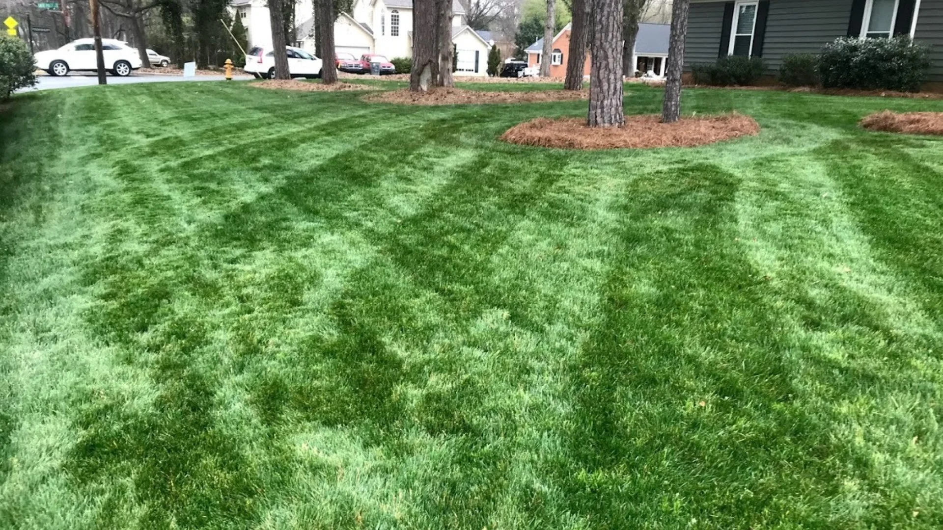 Brick house on a mowed green lawn.
