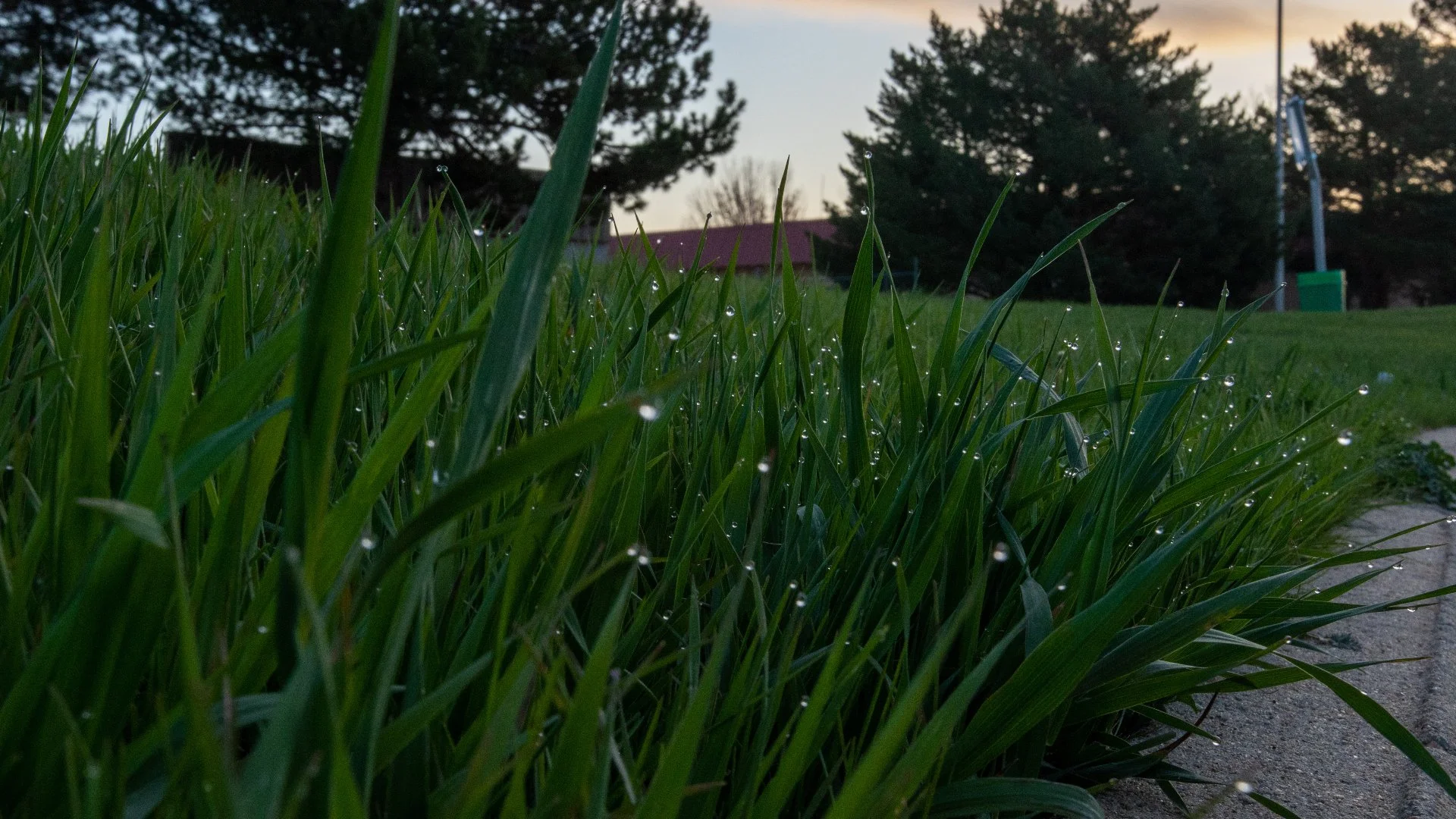 Core Aeration: An Essential Part of Fall Lawn Care
