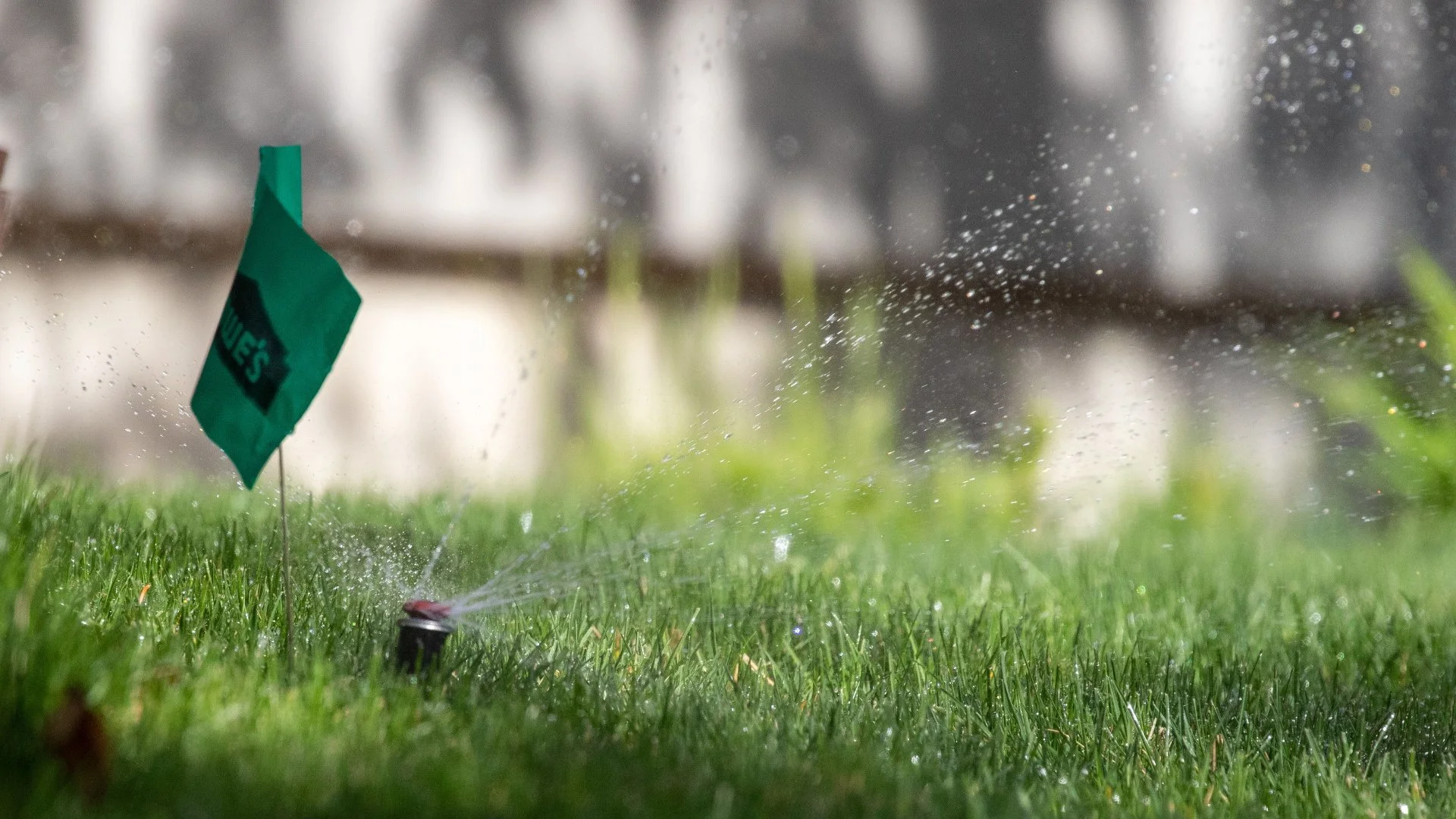 Irrigation Startups Should Always Be Done by Professionals!