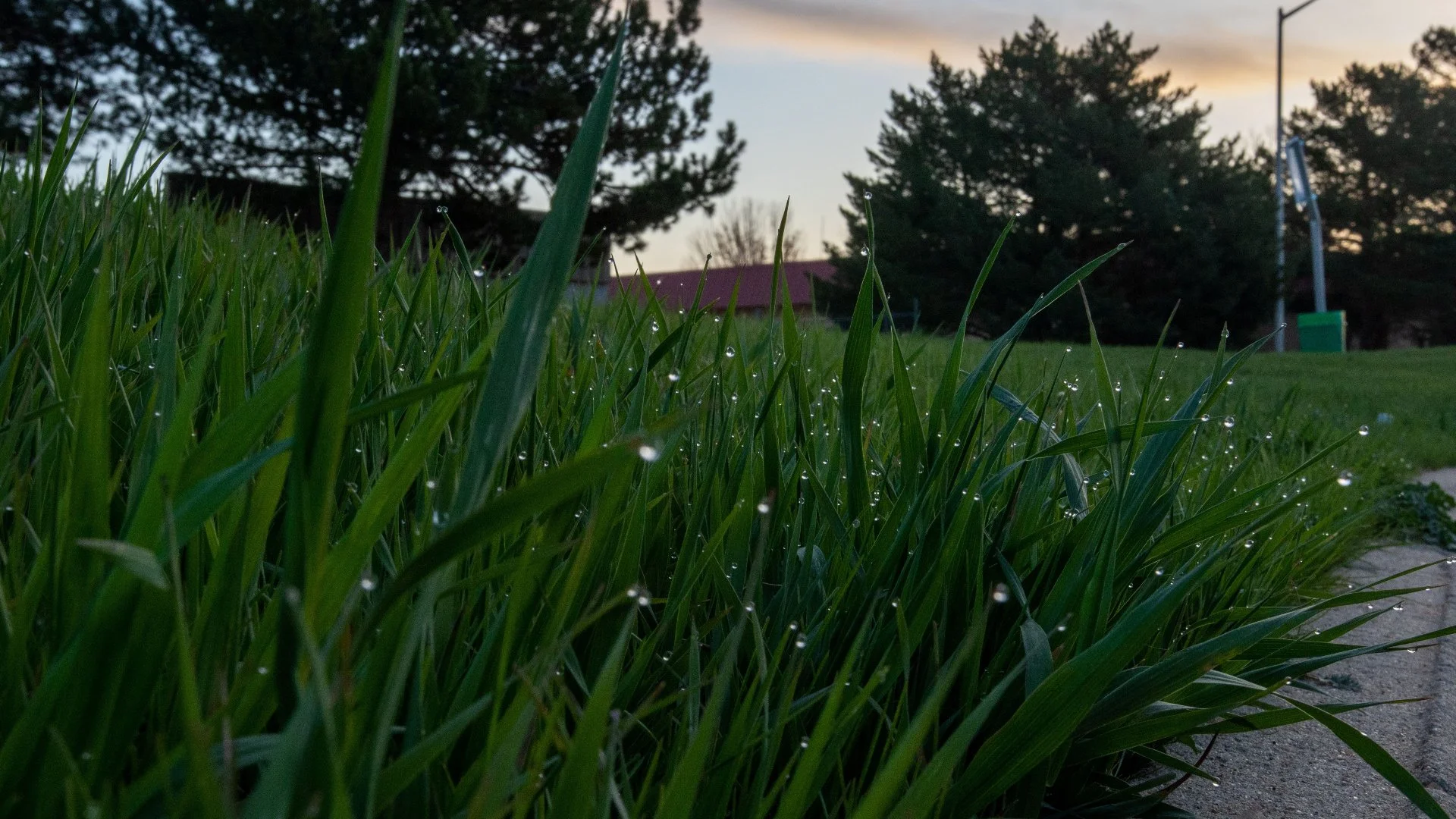 Is It Possible to Fertilize Your Lawn Too Early in the Spring?