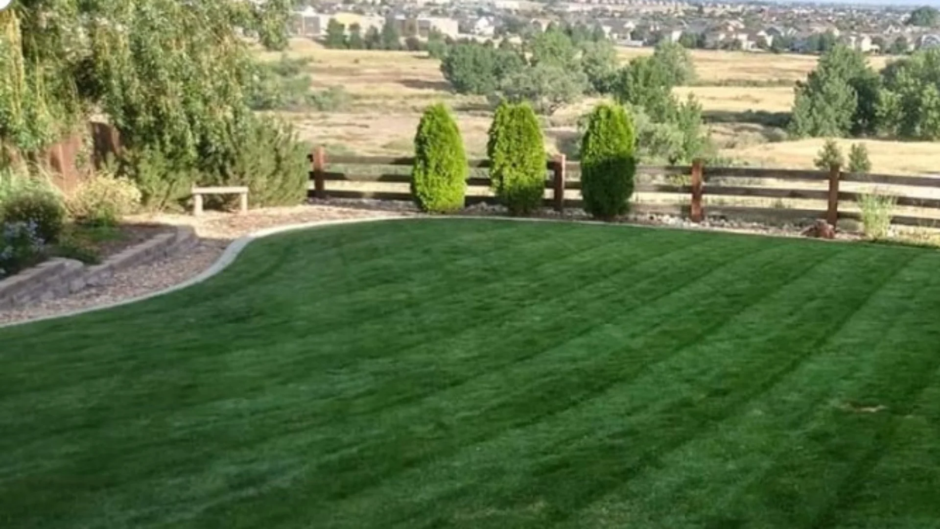 Should You Fertilize Your Lawn With Granular or Liquid Treatments?