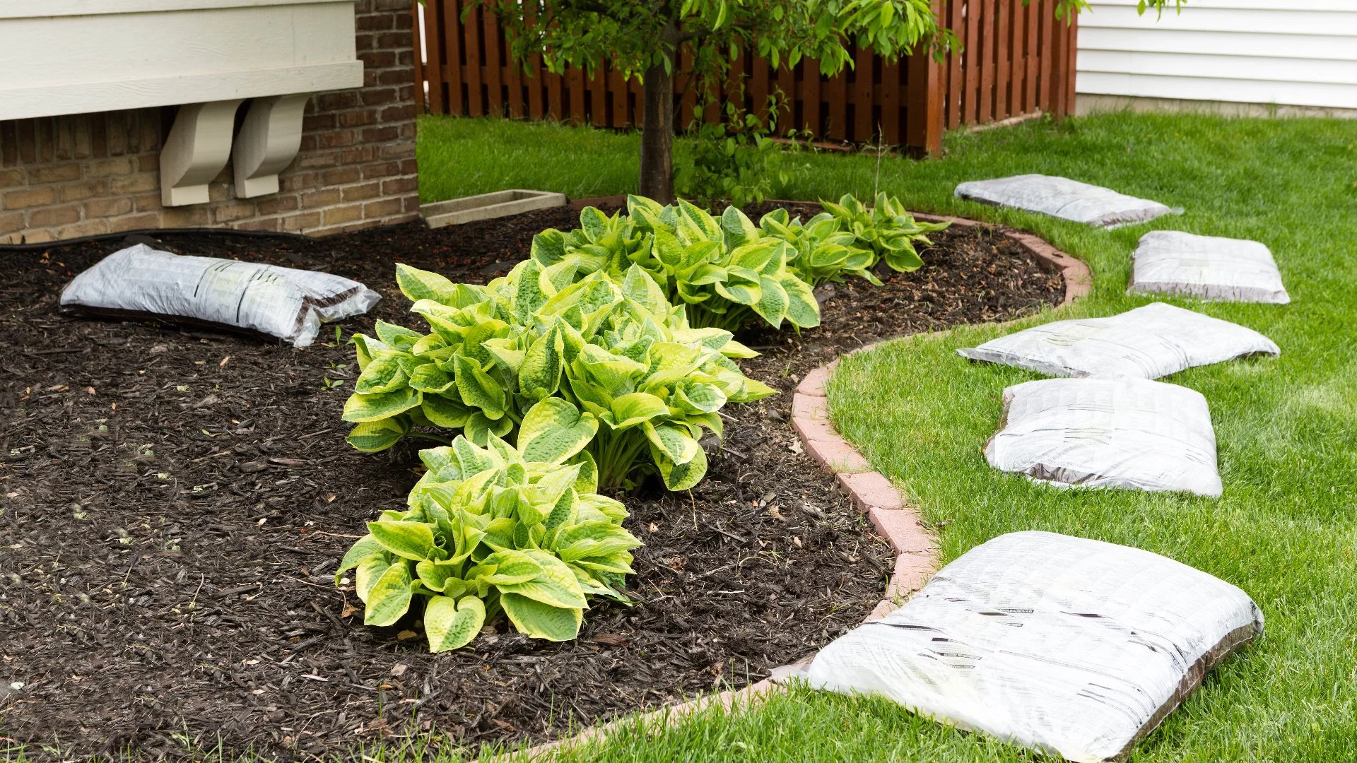 Mulch vs Rocks - Is One Ground Cover Better Than the Other?