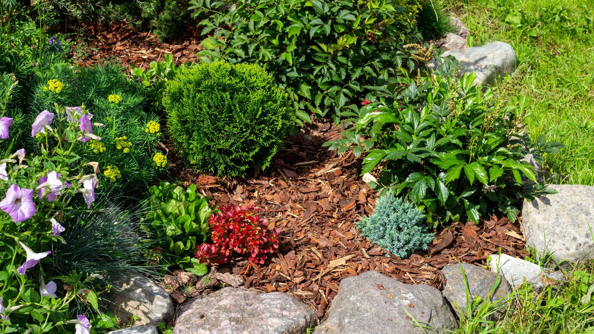 Replenish Your Mulch Every Two Years to Keep It Beneficial