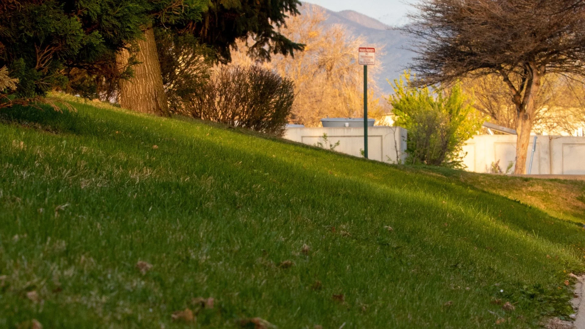 Is There a Way to Make Your Lawn Thicker?