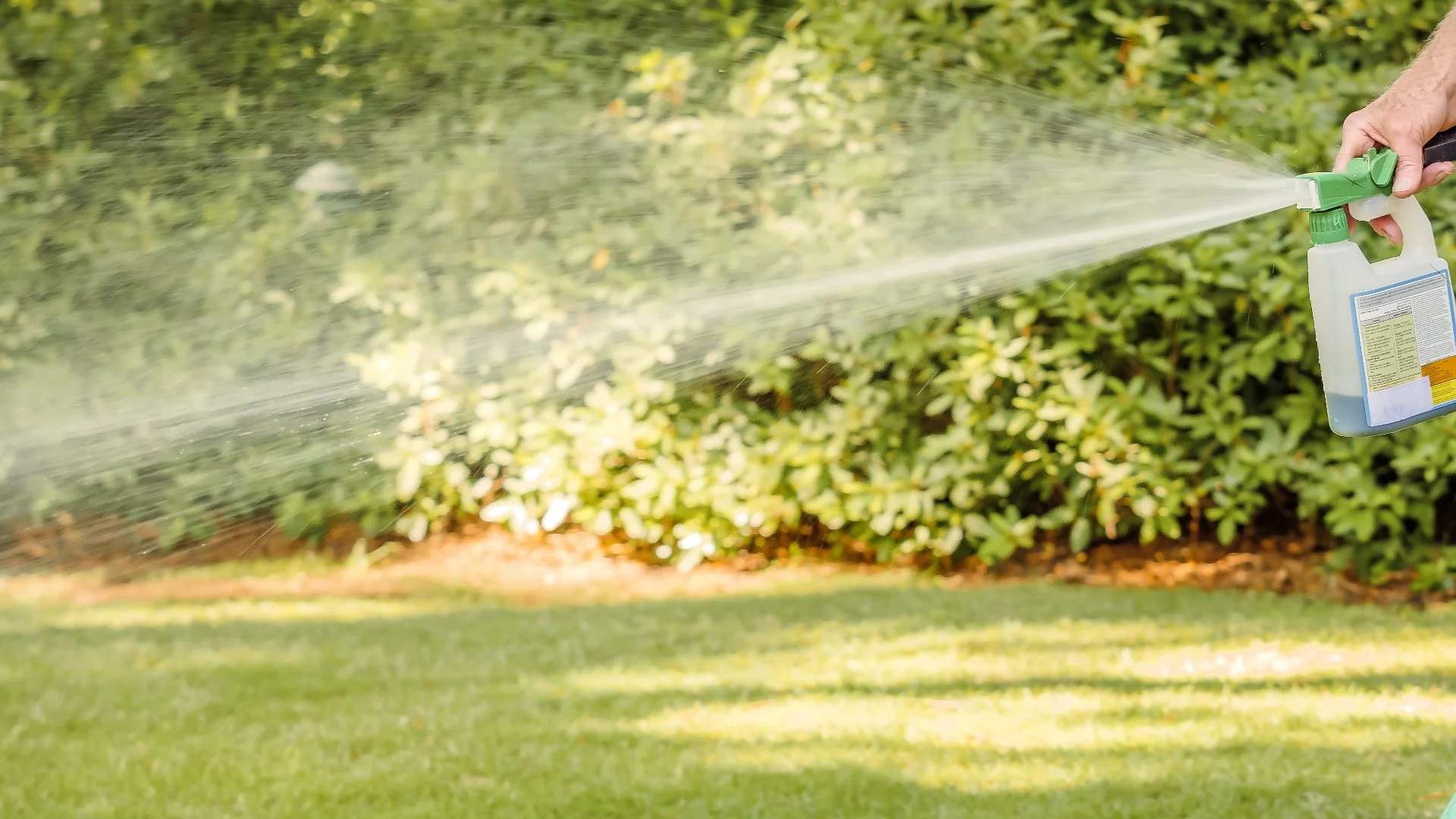 Is Liquid or Core Aeration Better for Lawns?