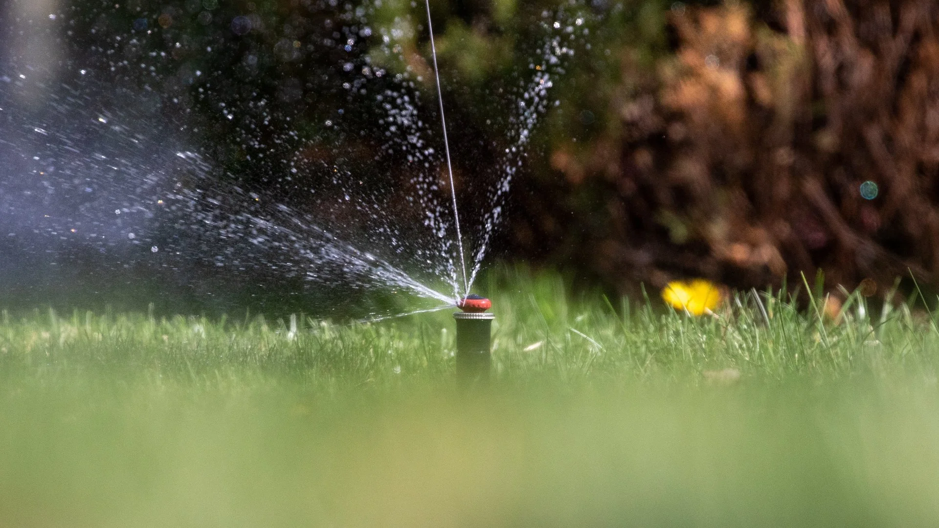 When Are Irrigation Systems in Colorado Winterized?