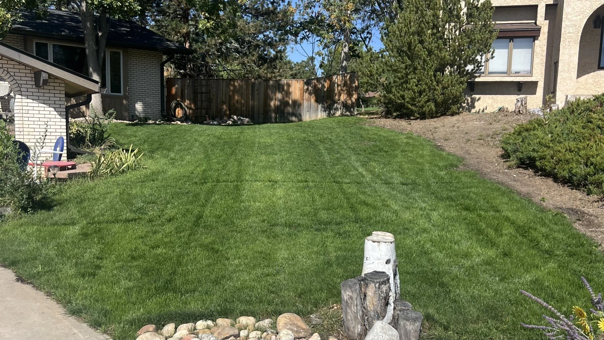 What Type of Grass Seed Should Be Used for Overseeding in Colorado?