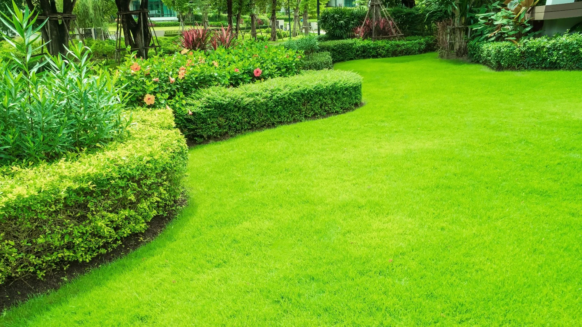 Don't Overlook the Importance of Pre-Emergent Weed Control in Spring!