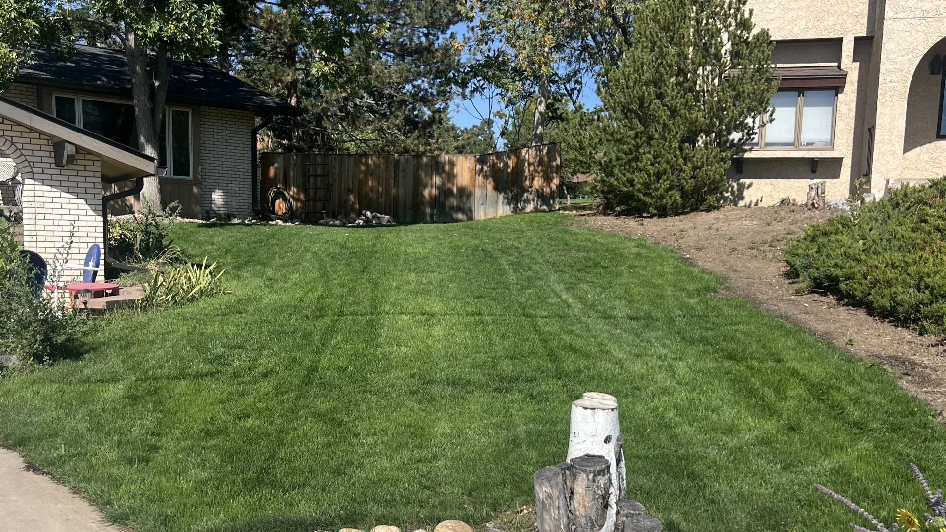 A Weed-Free Lawn Is Only Possible When You Use These Treatments