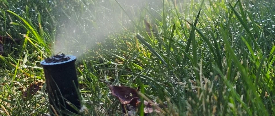 Blowing water out of a sprinkler head in Longmont, CO.