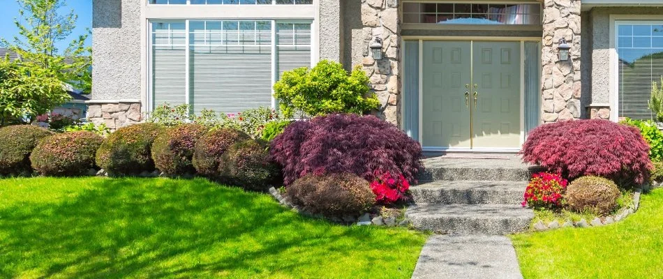 House in Longmont, CO, behind trimmed shrubs.
