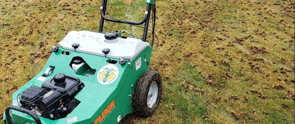 Newly aerated lawn in Longmont, CO, with an aerator machine.