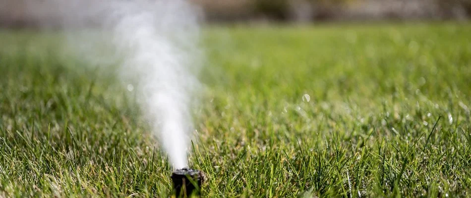 Compressed air coming from a sprinkler head in Longmont, CO.