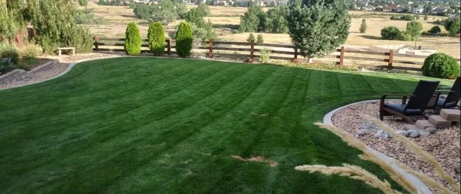 Green lawn in Berthoud, CO, after mowing.