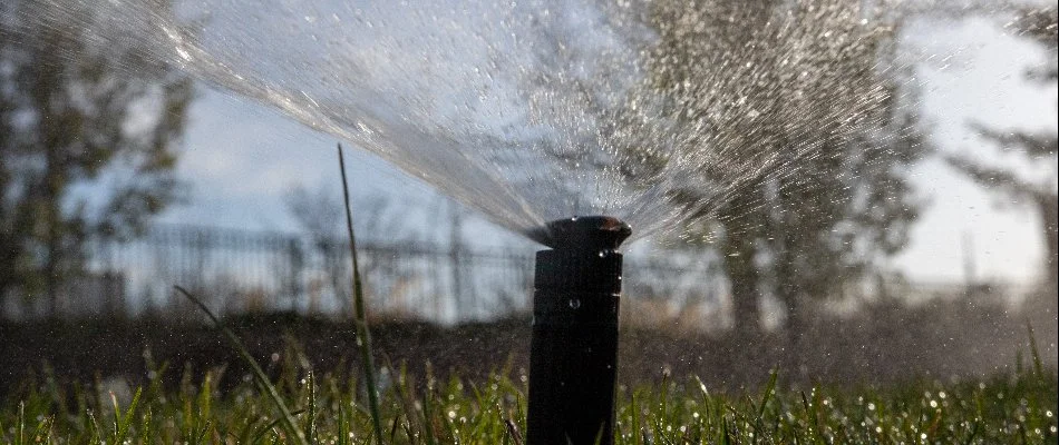 Irrigation sprinkler head in Berthoud, CO, releasing water.