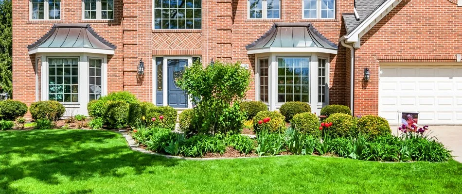 Landscape bed in Mead, CO, with lush shrubs and flowers.