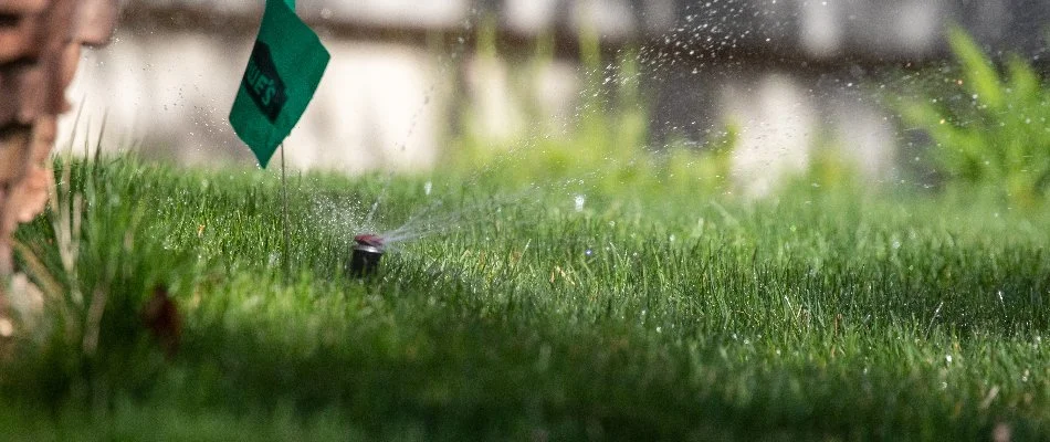 Lawn in Gunbarrel, CO, with irrigation nozzle head.