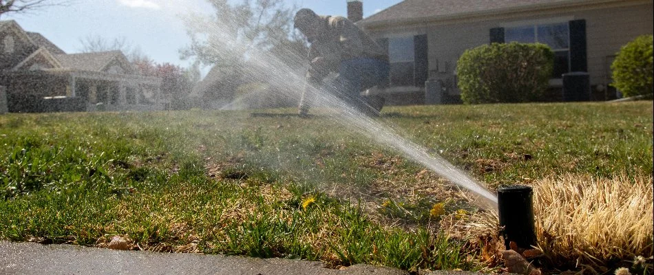 Lawn in Hygiene, CO, with an irrigation system.