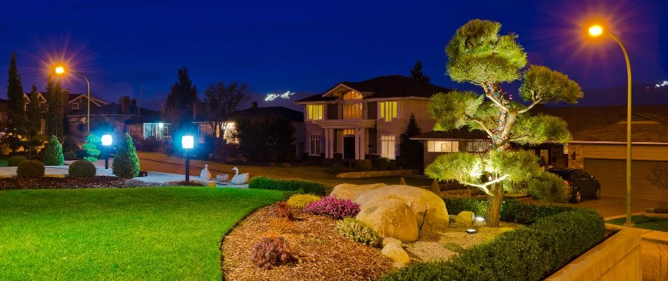 Plants in a landscape bed in Longmont, CO, with outdoor lighting.