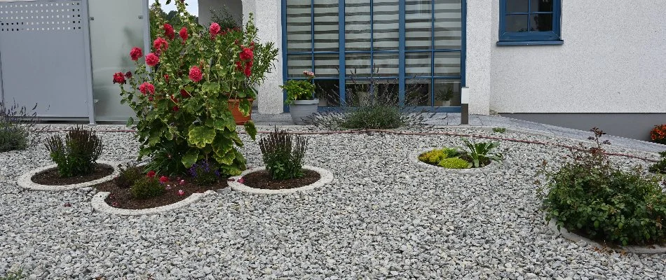 Rocks in a landscape bed on a property in Longmont, CO.