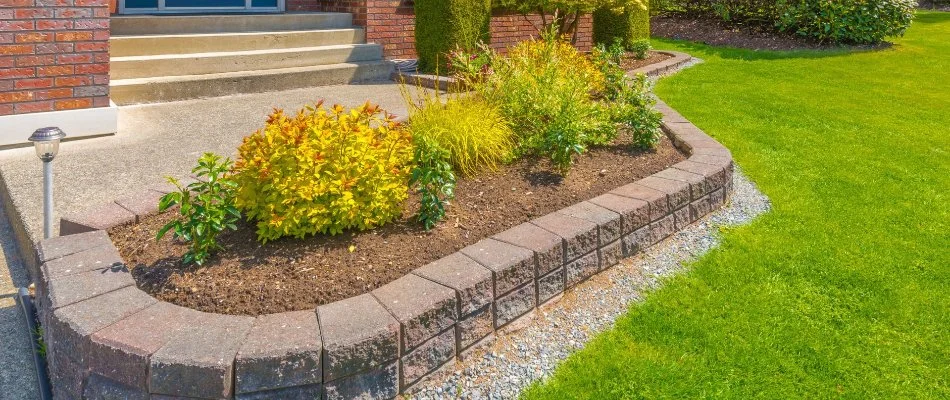 Small planter bed atop a retaining wall in Longmont, CO.