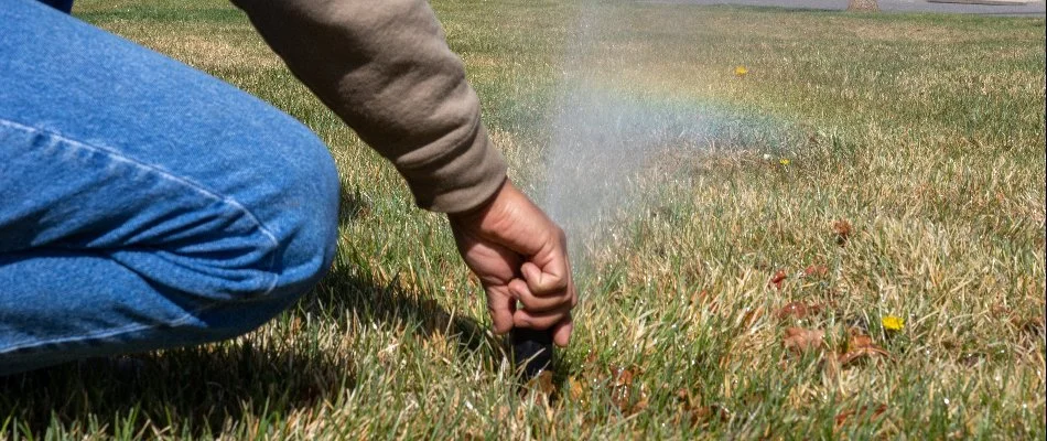 Technician adjusting an irrigation sprinkler head in Mead, CO.