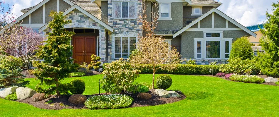 Trees and shrubs on a landscape in Gunbarrel, CO.