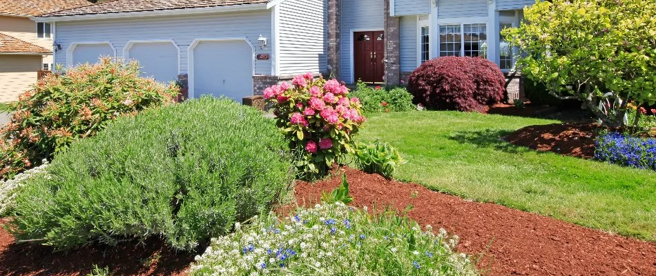 Yard in Firestone, CO, with landscape beds, shrubs, and flowers.