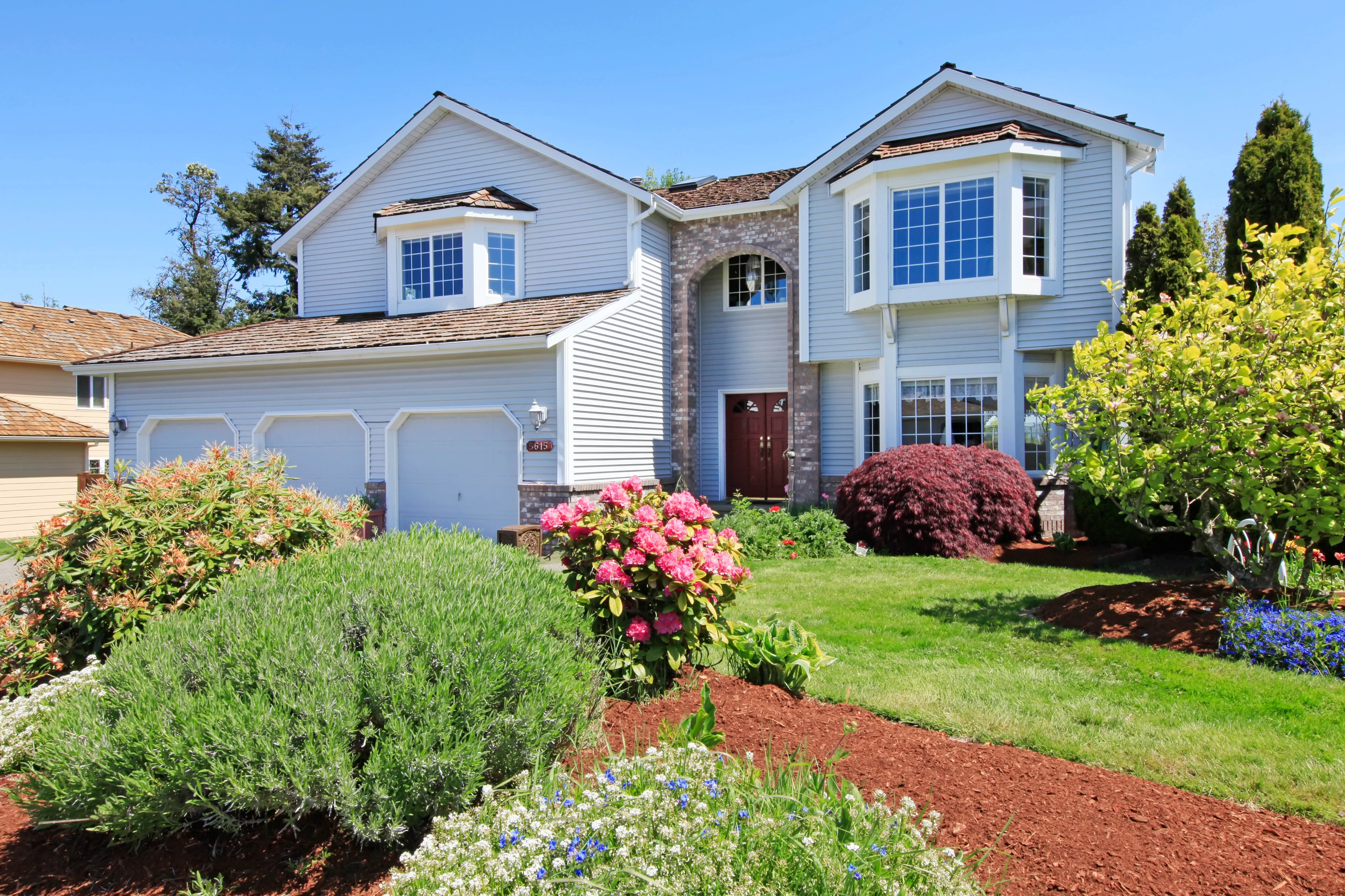 Outdoor lawn with colorful colors amid bushes in Longmont, CO.