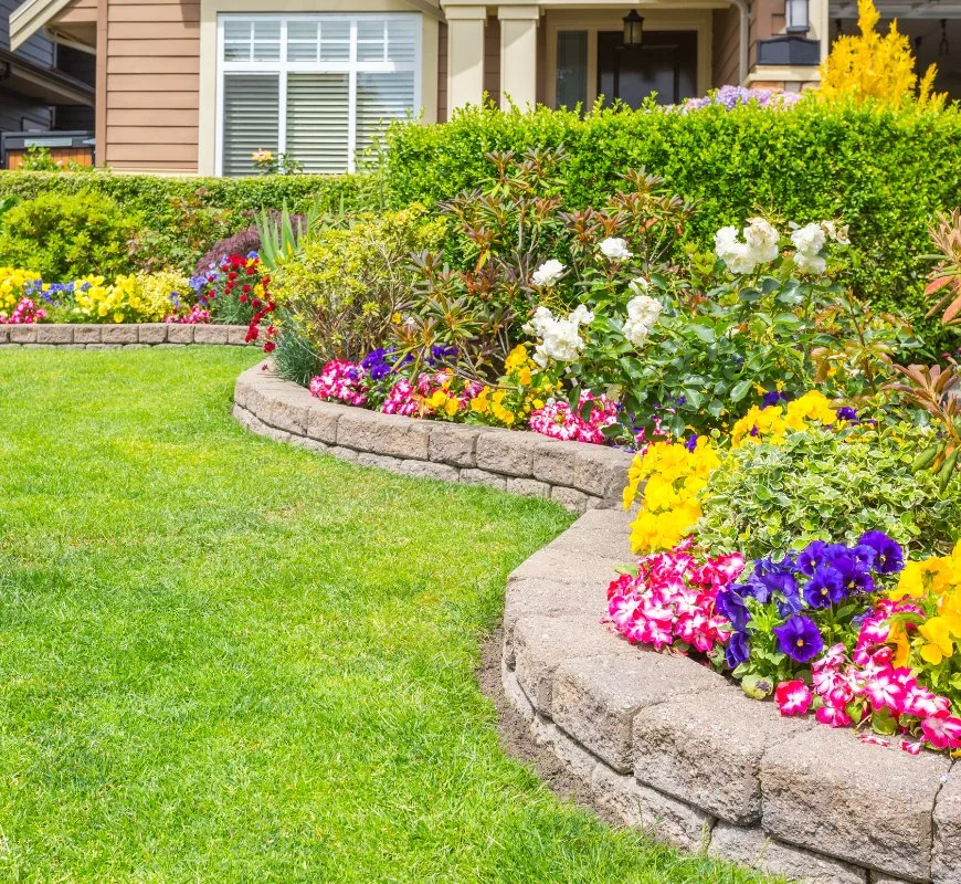 Outdoor lawn with colorful colors amid bushes in Longmont, CO.